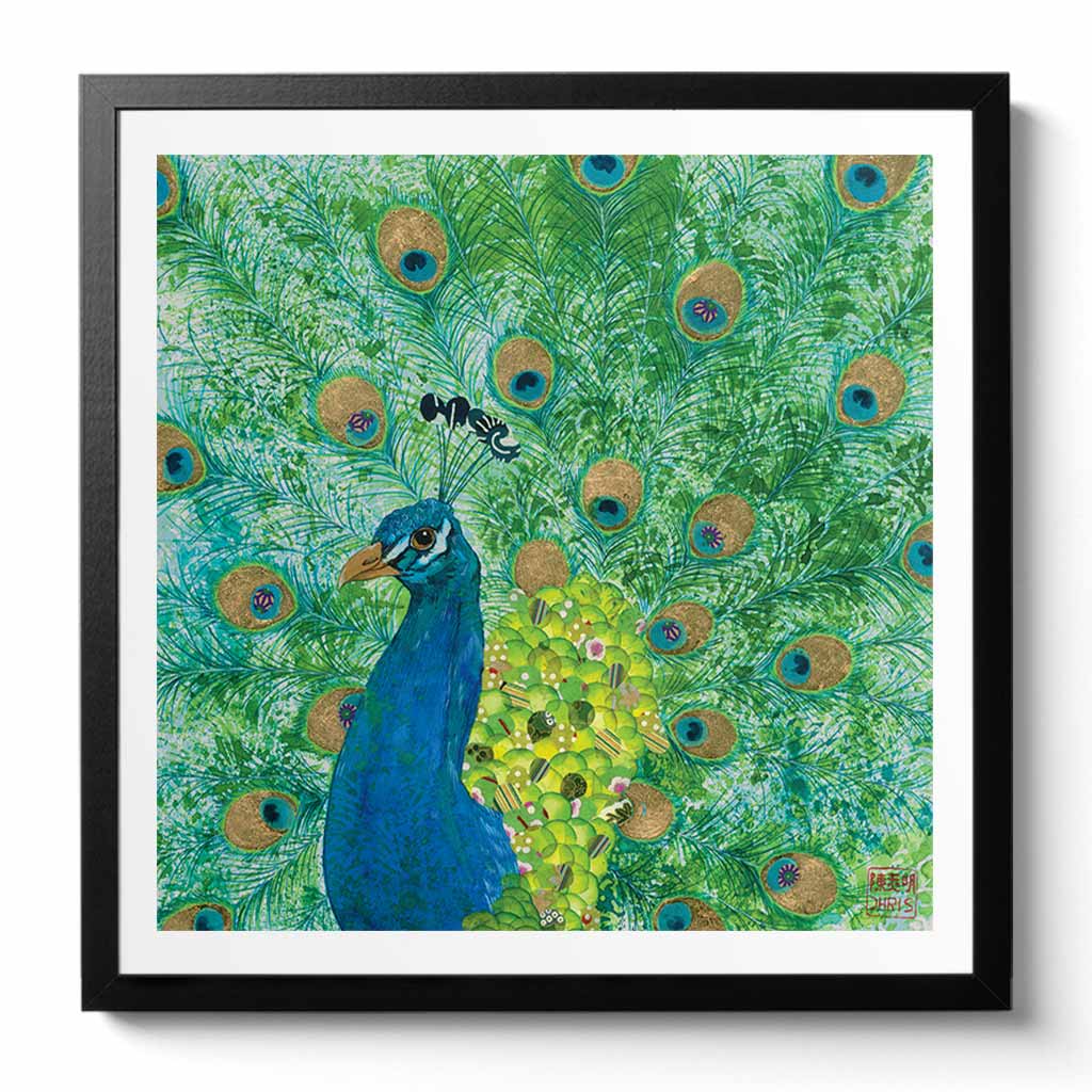 Peacock Fine Art Print by Artist Chris Chun