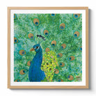 Peacock Fine Art Print by Artist Chris Chun