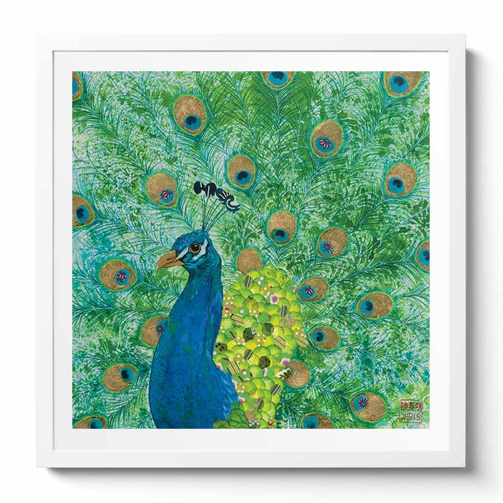 Peacock Fine Art Print by Artist Chris Chun