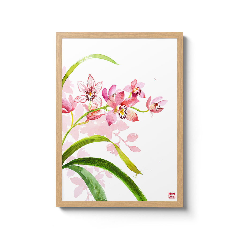     ChrisChun_Cymbidium_OakFrame_II
