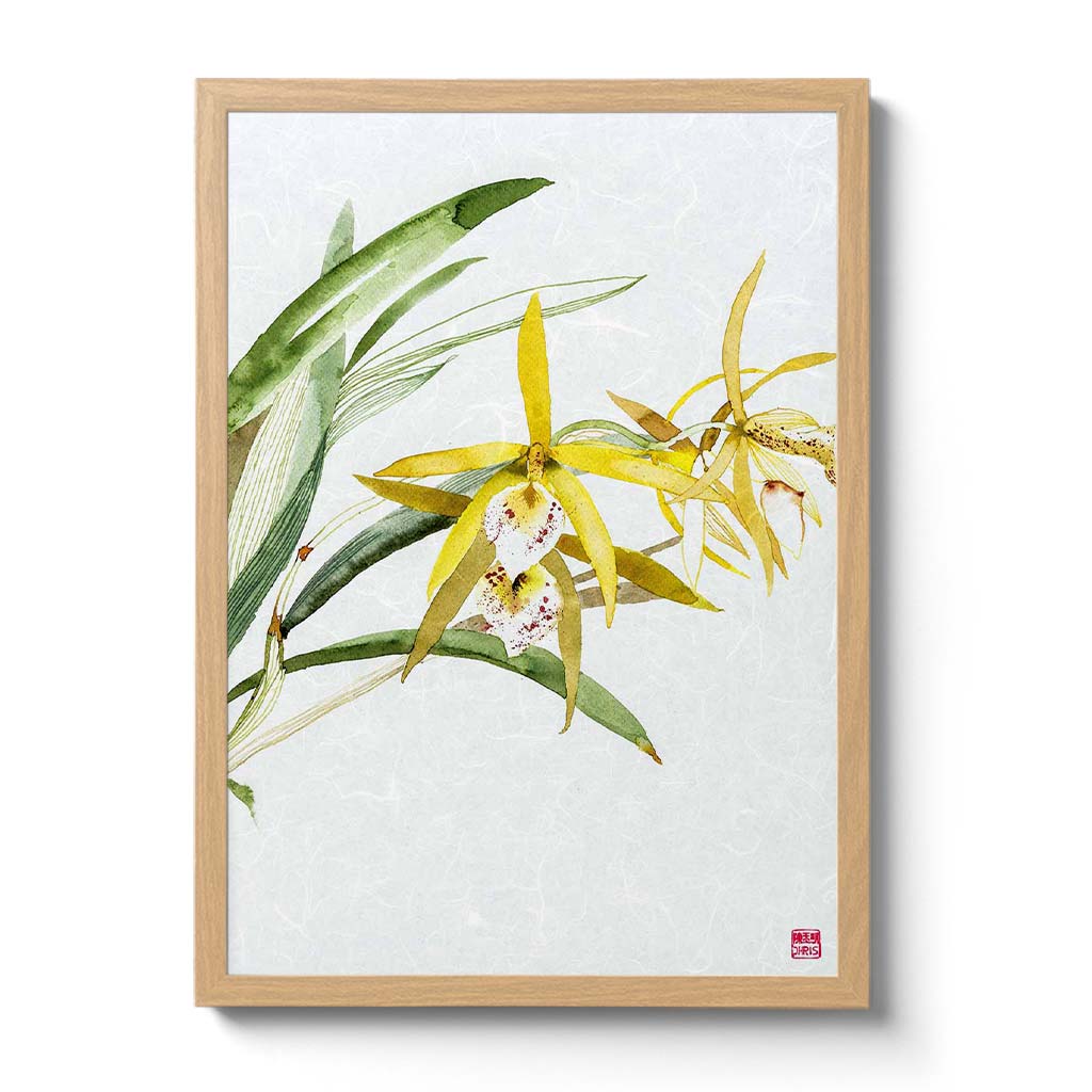 Dendrobium Hybrid Orchid Fine Art Print. Printed on Handcrafted Japanese Unryu Paper.