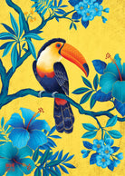 Toucan Indochine Fine Art Print by Artist Chris Chun
