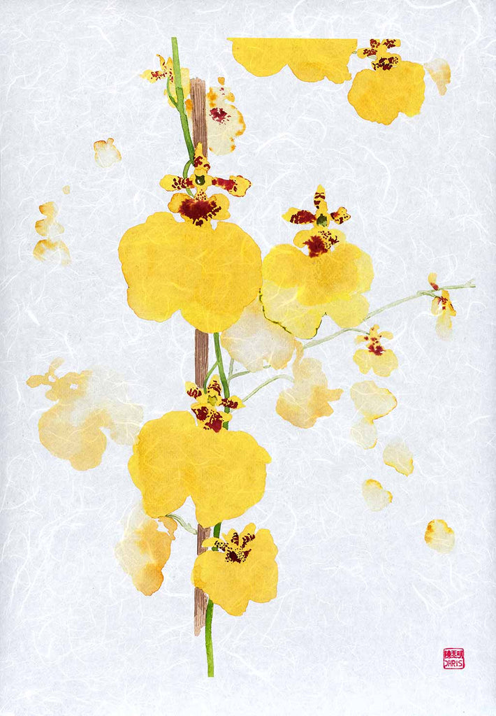 Oncidium Sweet Sugar Orchid Fine Art Print by artist Chris Chun. Archival Print on Awagami Handcrafted Unryu Paper. 