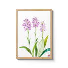 ChrisChun_PlatantheraPsycodes_OakFrame_II