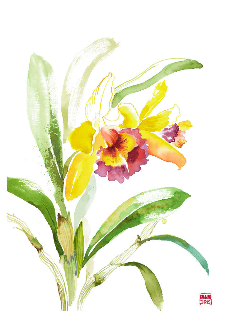 ChrisChun_Rhyncholaeliocattleya_Unframed