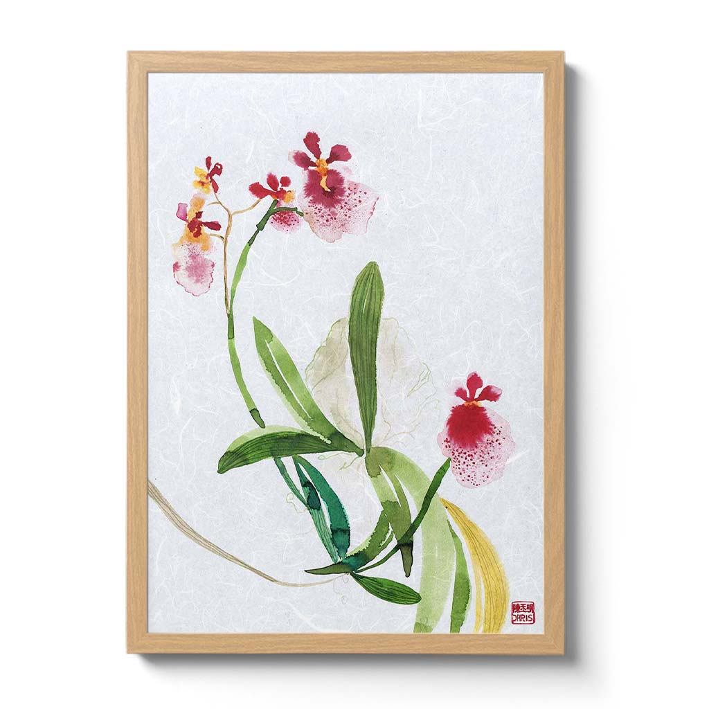 Tolumnia Hybrid Orchid Fine Art Print by artist Chris Chun. Archival Print on Awagami Handcrafted Unryu Paper. 