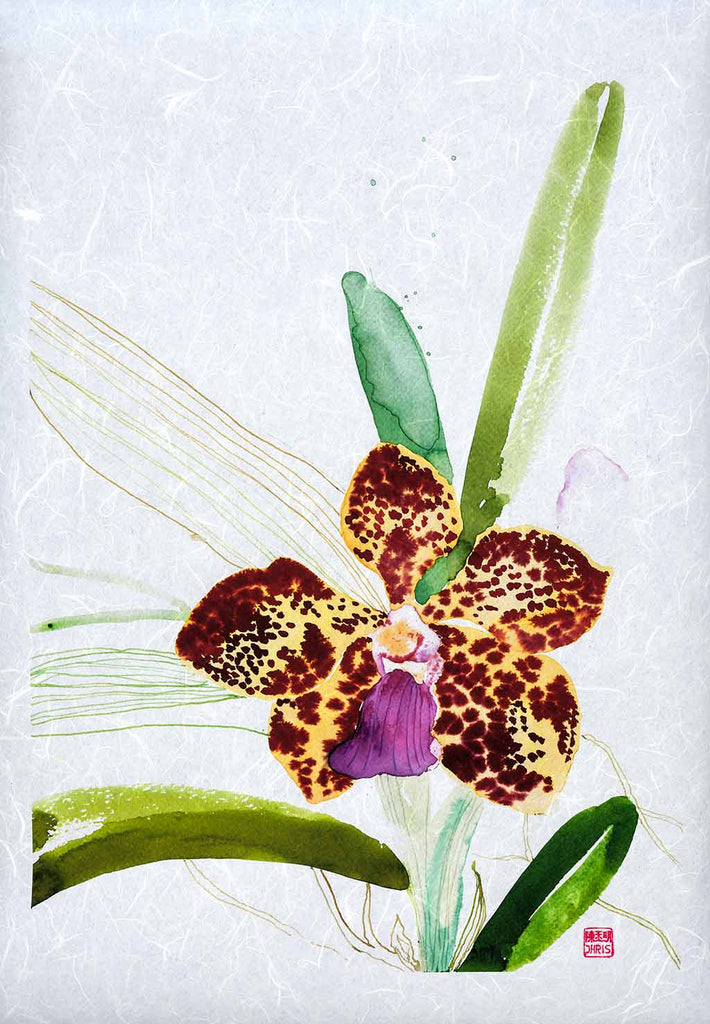 Vanda Kultana Fragrance Orchid Fine Art Print by artist Chris Chun. Archival Print on Awagami Handcrafted Unryu Paper. 