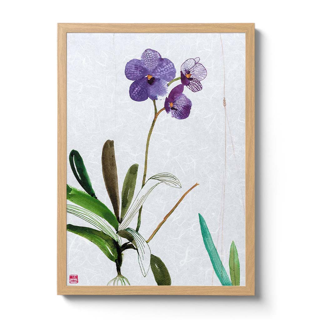 Vanda Sansai Blue Orchid Fine Art Print by artist Chris Chun. Archival Print on Awagami Handcrafted Unryu Paper.