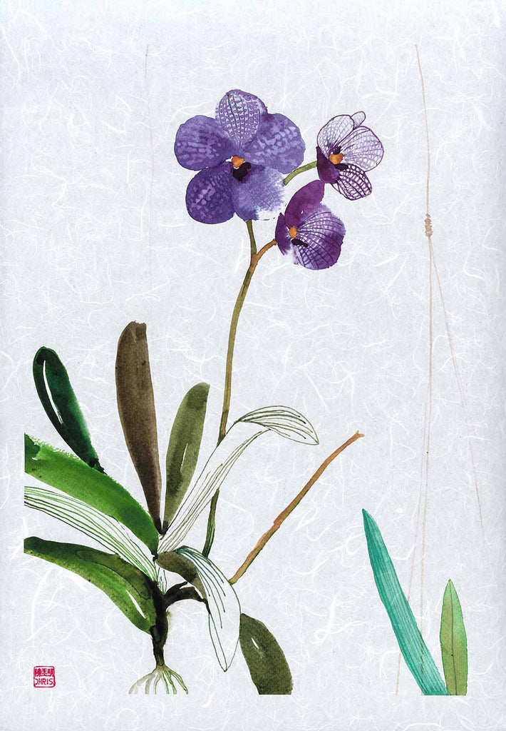Vanda Sansai Blue Orchid Fine Art Print by artist Chris Chun. Archival Print on Awagami Handcrafted Unryu Paper.